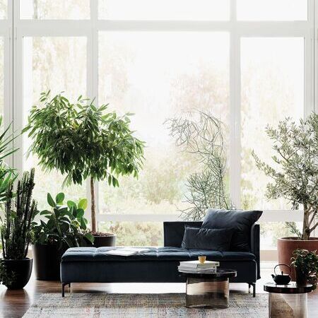 Schramm | Origins - BASIS und GALA