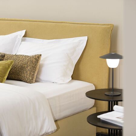 Schramm | Origins - BASIS und GALA